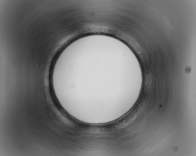 X0000102830629200809151040