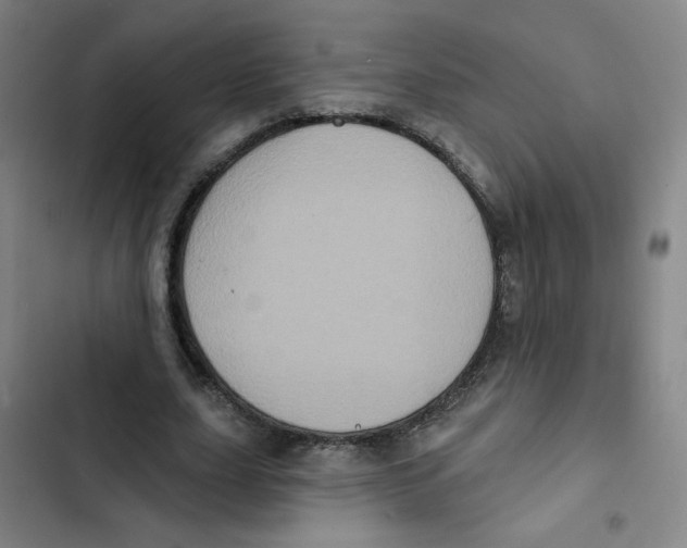 X0000102830631200809151040