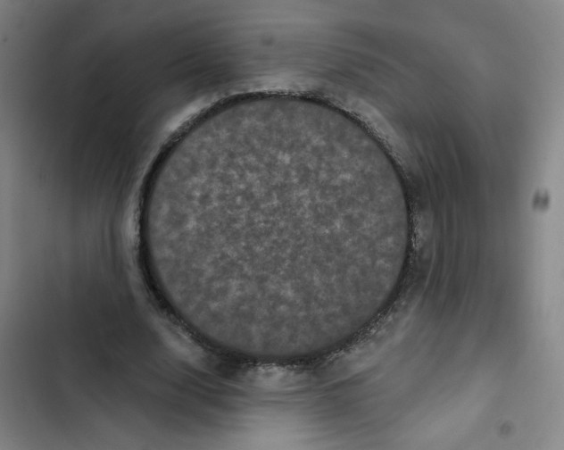 X0000102830632200809151040