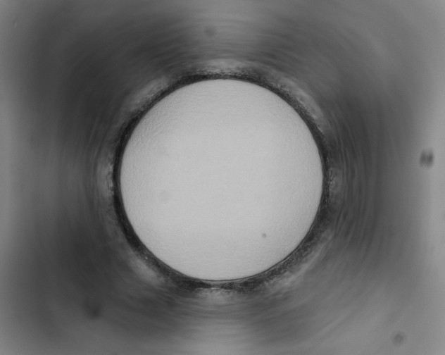 X0000102830633200809151040