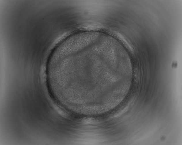X0000102830634200809151040