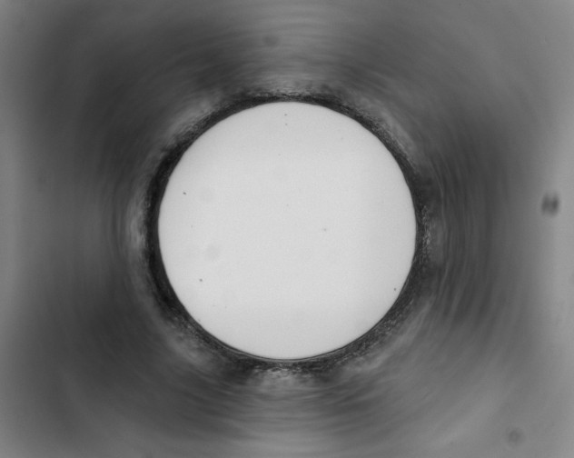 X0000102830635200809151040