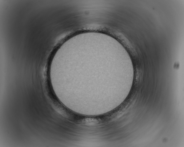 X0000102830636200809151040