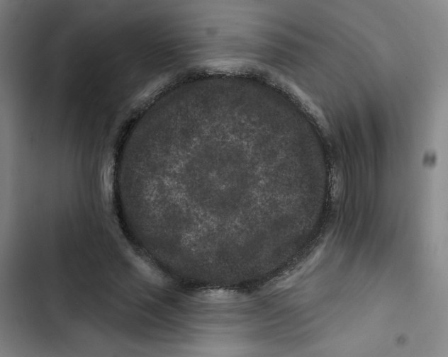 X0000102830637200809151040