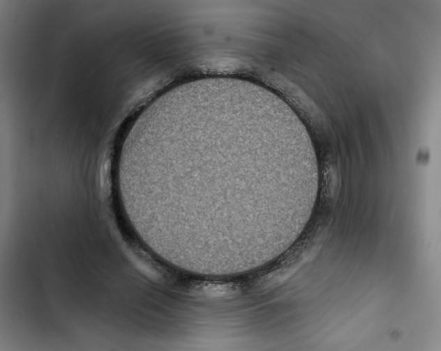 X0000102830638200809151040