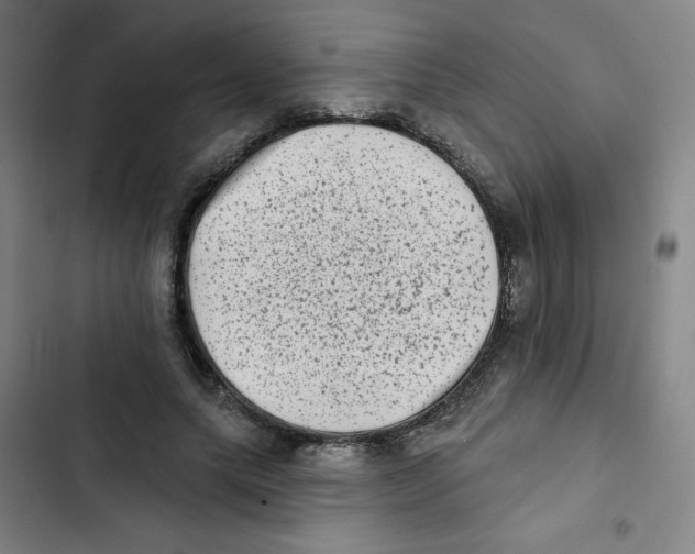 X0000102830639200809151040