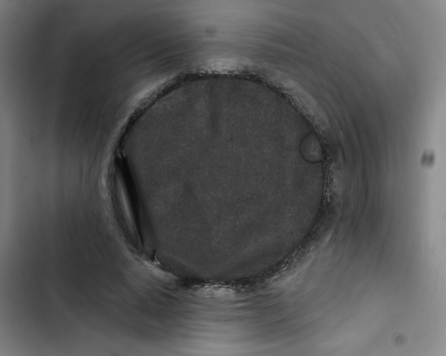 X0000102830640200809151040