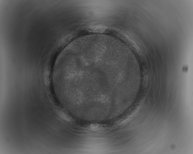 X0000102830641200809151040