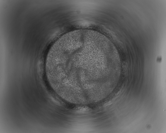 X0000102830642200809151040