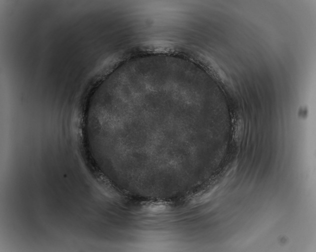 X0000102830643200809151040