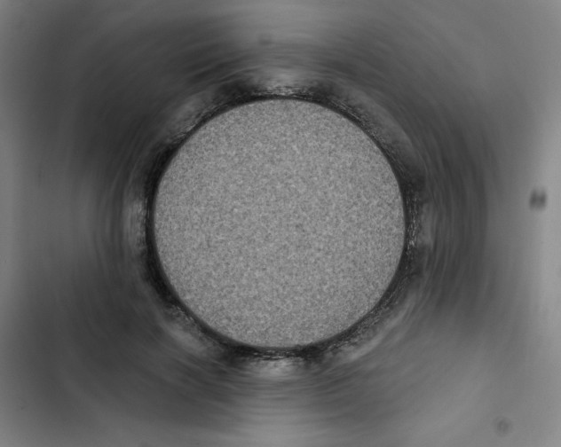 X0000102830646200809151040