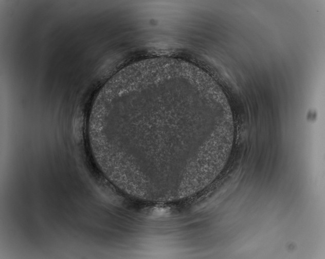 X0000102830647200809151040