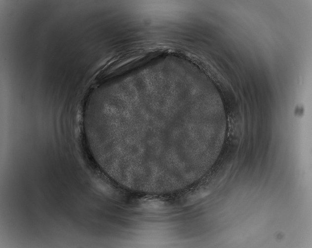 X0000102830648200809151040