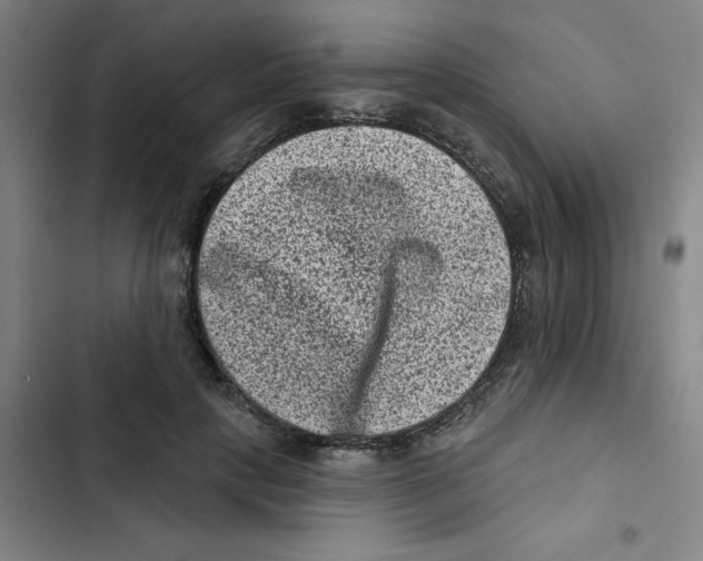 X0000102830649200809151040