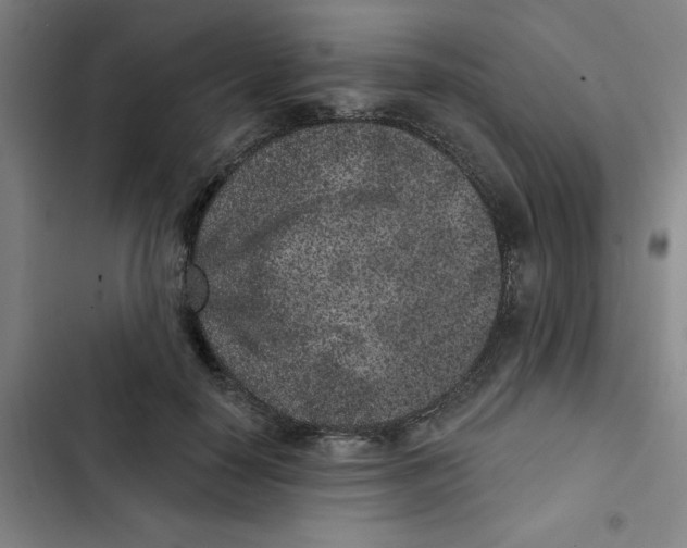 X0000102830650200809151040