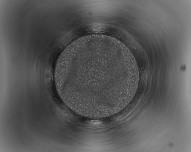 X0000102830651200809151040