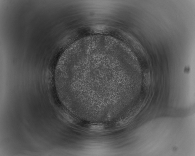 X0000102830653200809151040