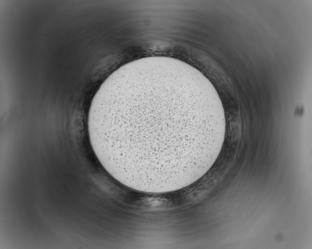 X0000102830654200809151040