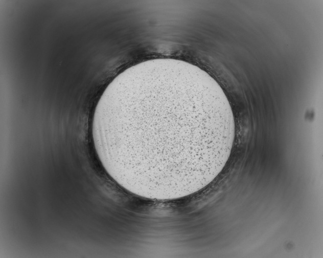 X0000102830656200809151040