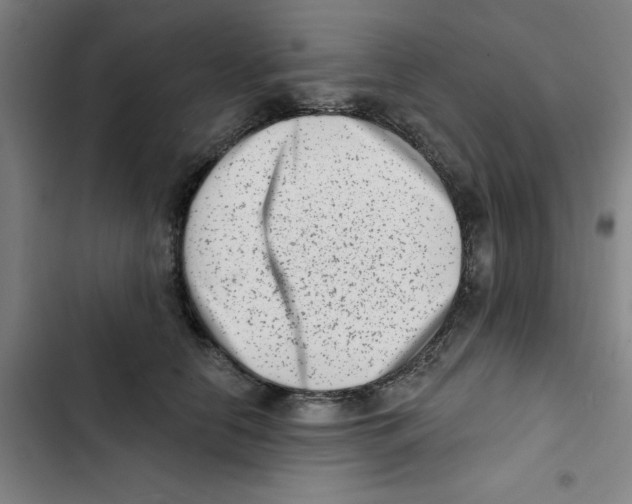 X0000102830658200809151040