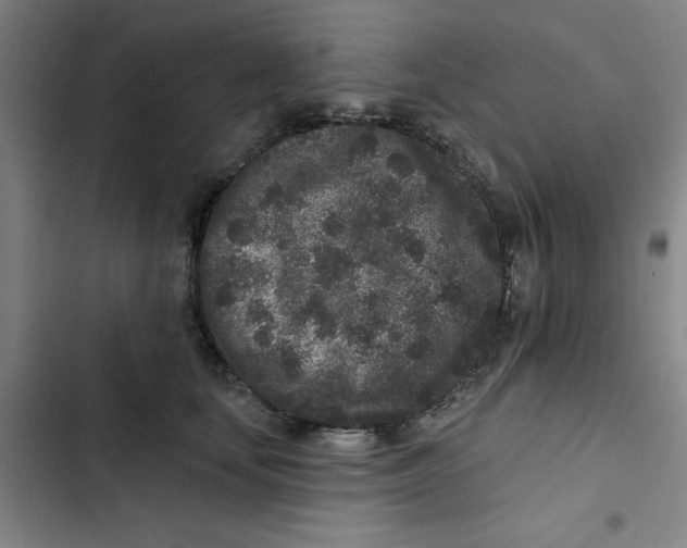 X0000102830659200809151040