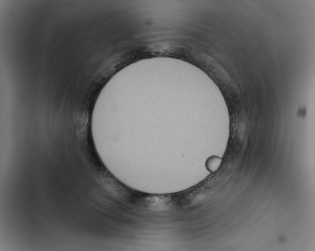 X0000102830660200809151040