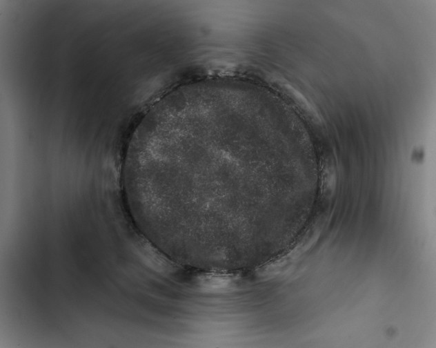 X0000102830661200809151040