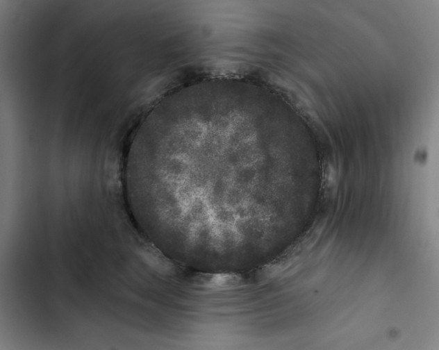 X0000102830663200809151040