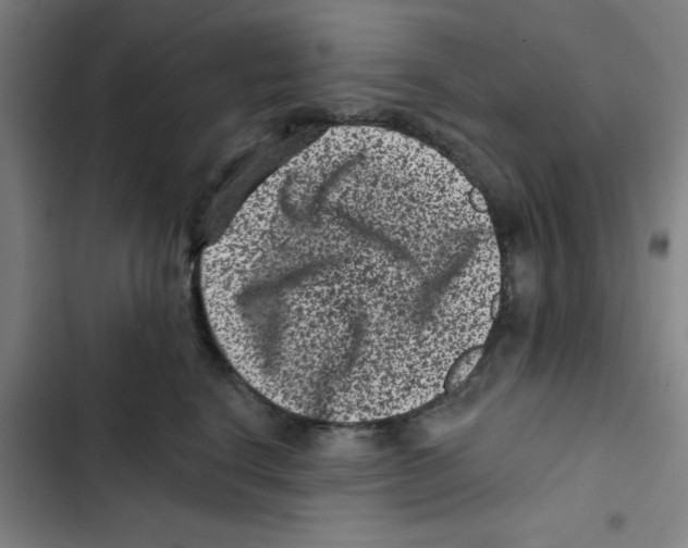 X0000102830664200809151040