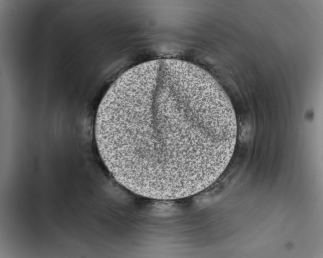 X0000102830666200809151041