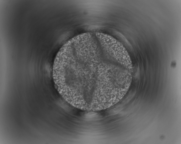 X0000102830669200809151041