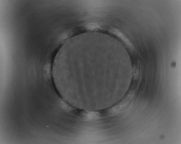 X0000102830670200809151041