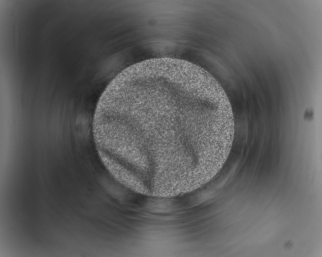 X0000102830671200809151041