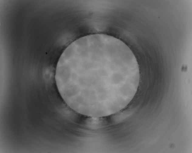 X0000102830672200809151041