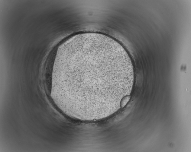 X0000102830673200809151040