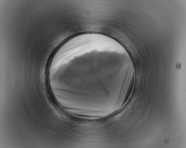 X0000102830674200809151040