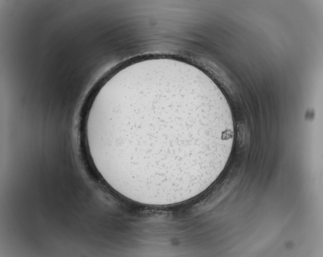 X0000102830676200809151040