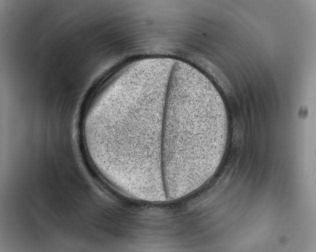 X0000102830677200809151040