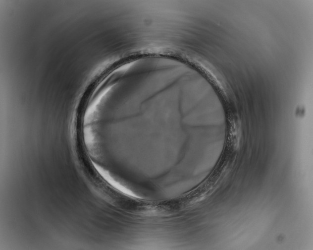 X0000102830678200809151040