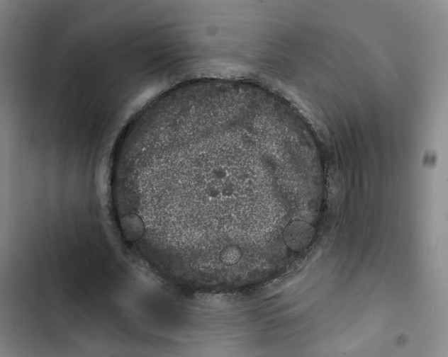 X0000102830679200809151040