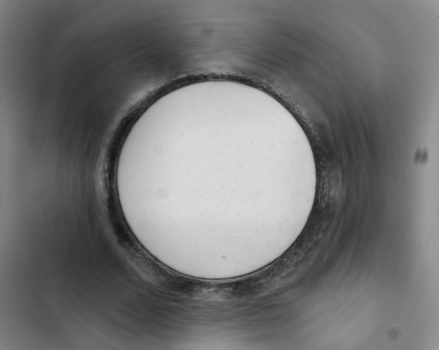 X0000102830680200809151040