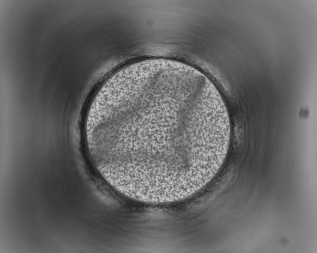 X0000102830682200809151040