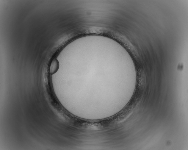 X0000102830683200809151040