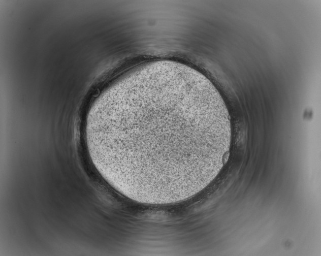 X0000102830685200809151040