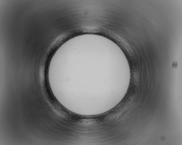 X0000102830686200809151040