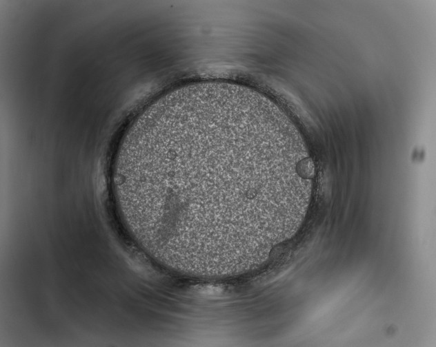 X0000102830687200809151040