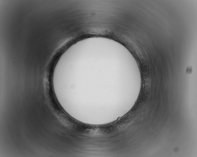 X0000102830688200809151040
