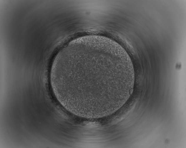 X0000102830689200809151040