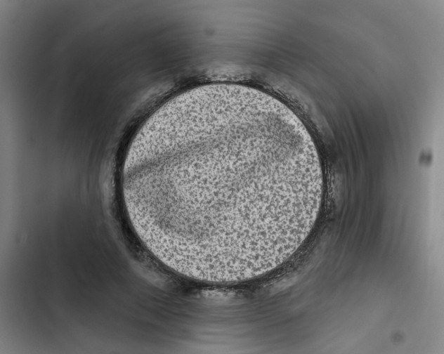 X0000102830690200809151040