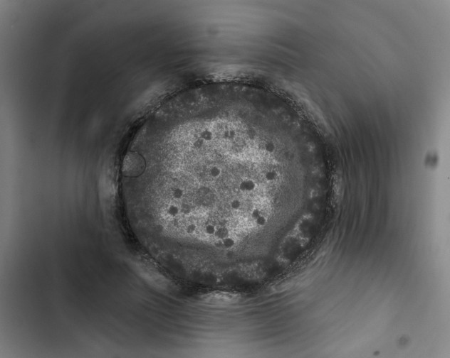 X0000102830691200809151040